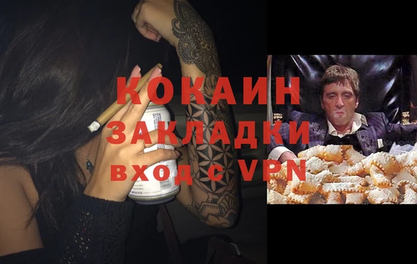стаф Михайловск