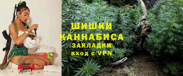стаф Михайловск